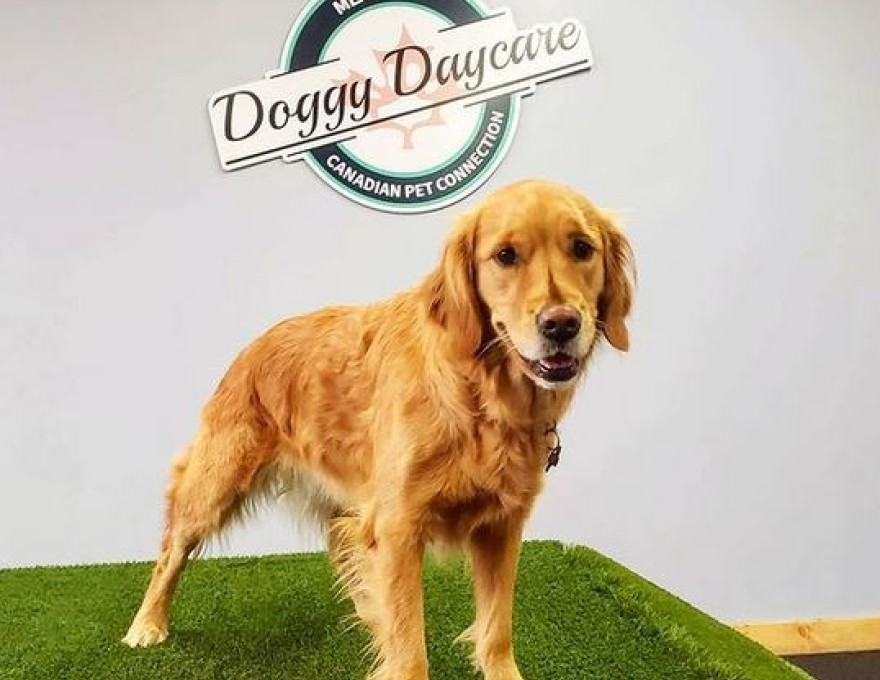 Canadian Pet Connection