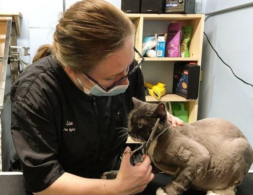 Canadian Pet Connection