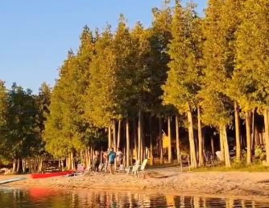 Cedars of Lake Eugenia