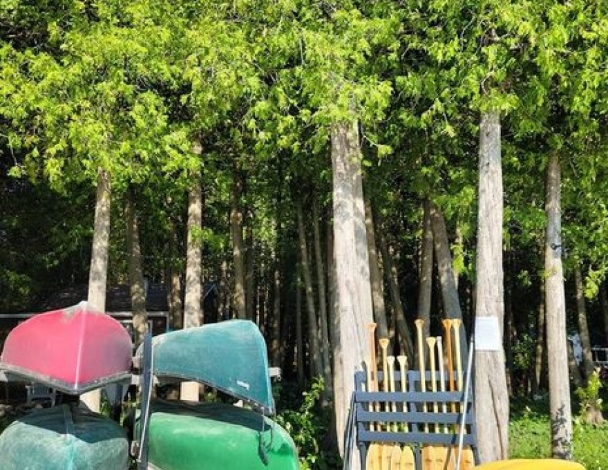 Cedars of Lake Eugenia
