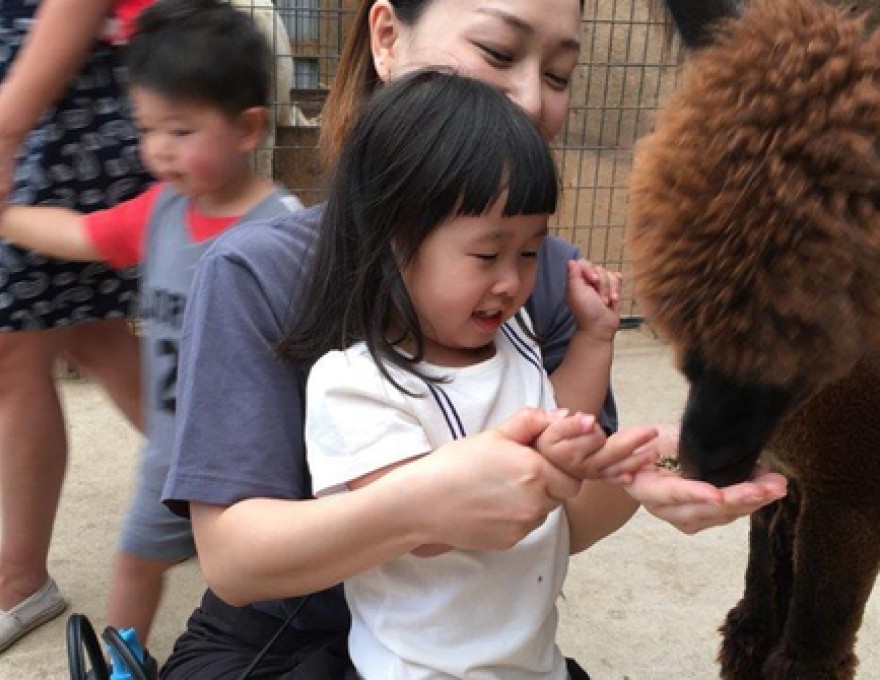 Family memories are created here.