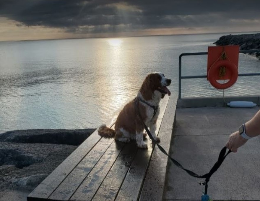 Cliff Richardson Boats Ltd