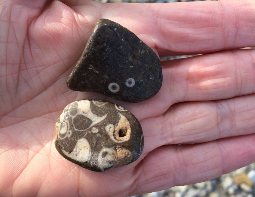 Ainslie Wood Conservation Area