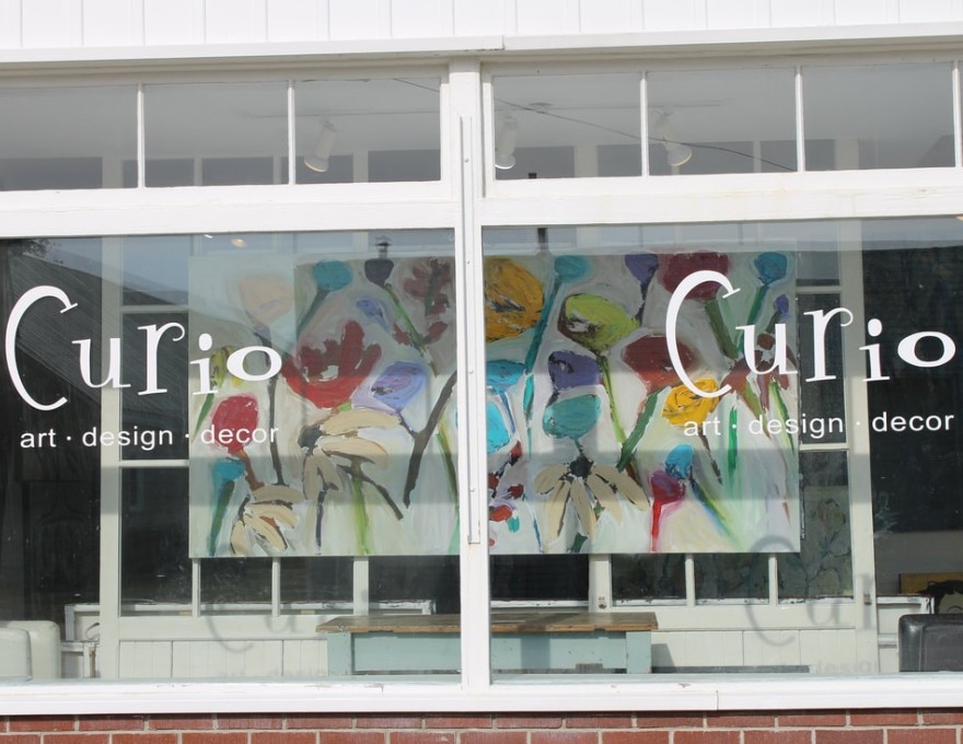 Curio Art Gallery