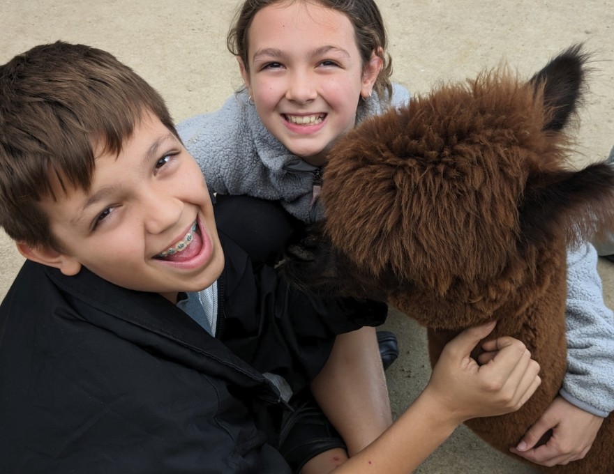 Alpaca Tours are suitable for all ages.