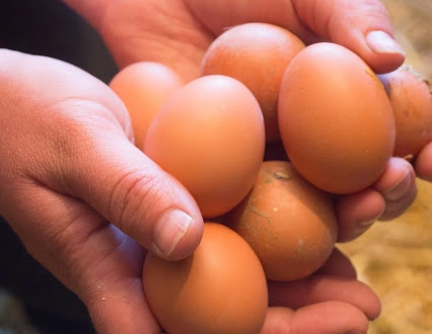 Sweet Things from DeJong Acres