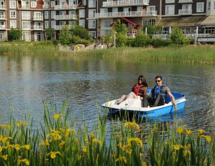 Mill Pond: Dockside and Skating
