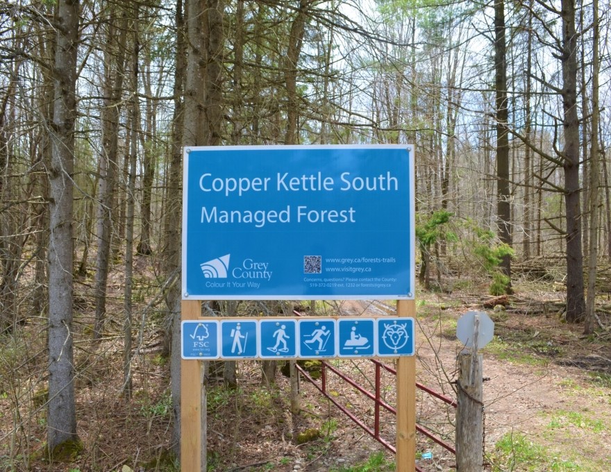 Copper Kettle - Sign
