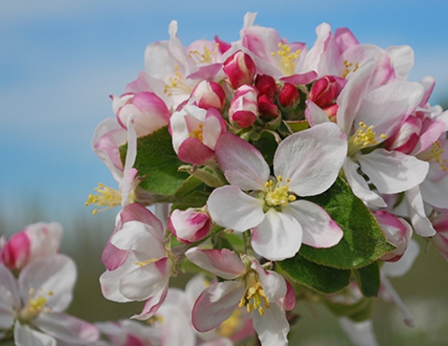 Filsinger's Organic Foods