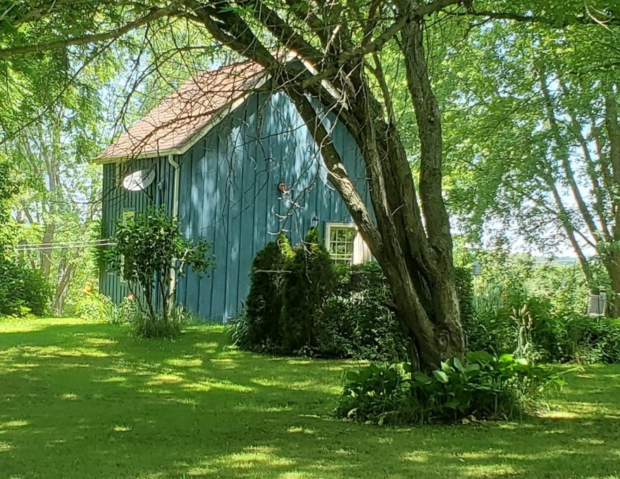 exterior view of a cabin in the woods during the summer