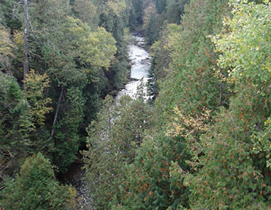 Osprey Recreation - Feversham