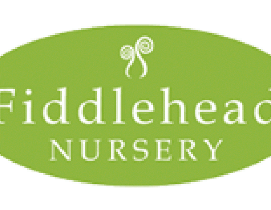 Fiddlehead logo