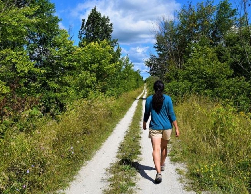 Fossil Glen Nature Reserve: Sydenham Bruce Trail