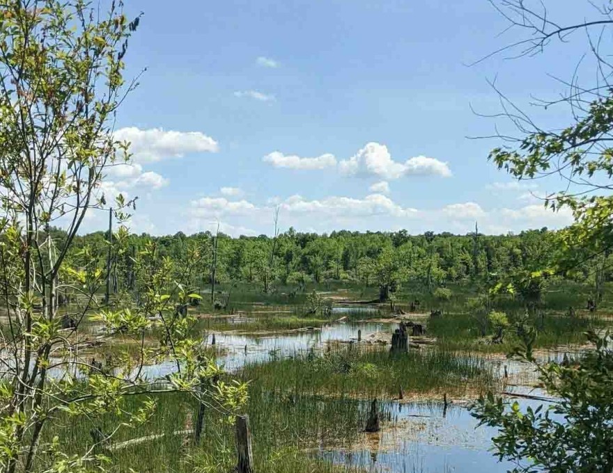 Georgian Bluffs Trail