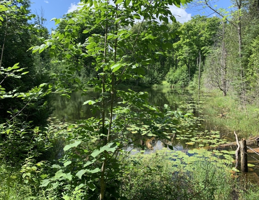 Glenelg Klondyke Red Trail