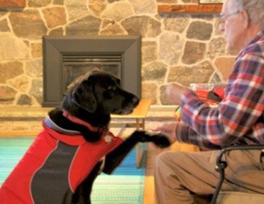 Gordon's Pet Service