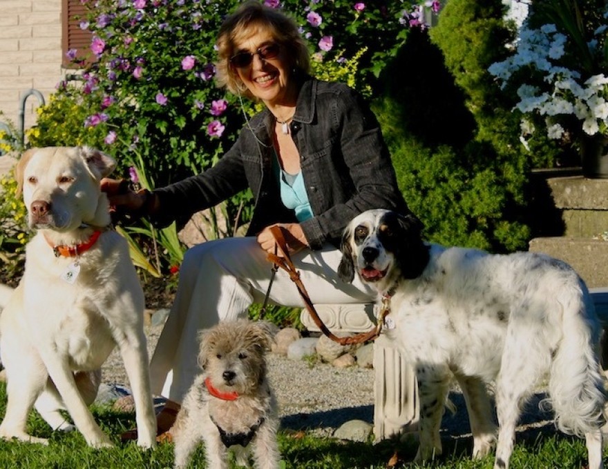 Gordon's Pet Service