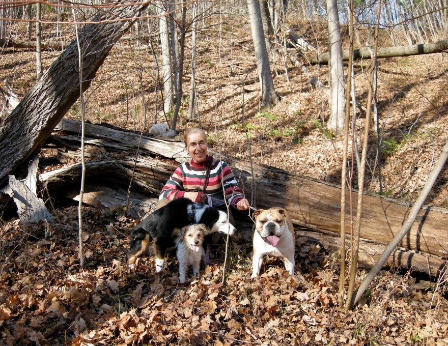 Gordon's Pet Service