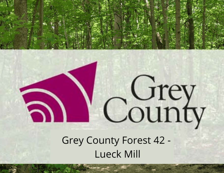 Grey County Forest 42 - Lueck Mill