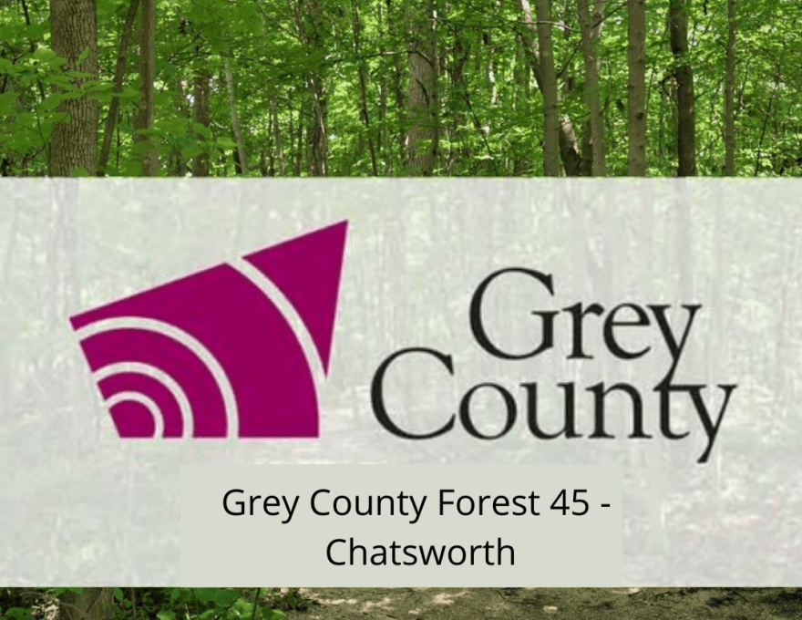 Grey County Forest 45 - Chatsworth