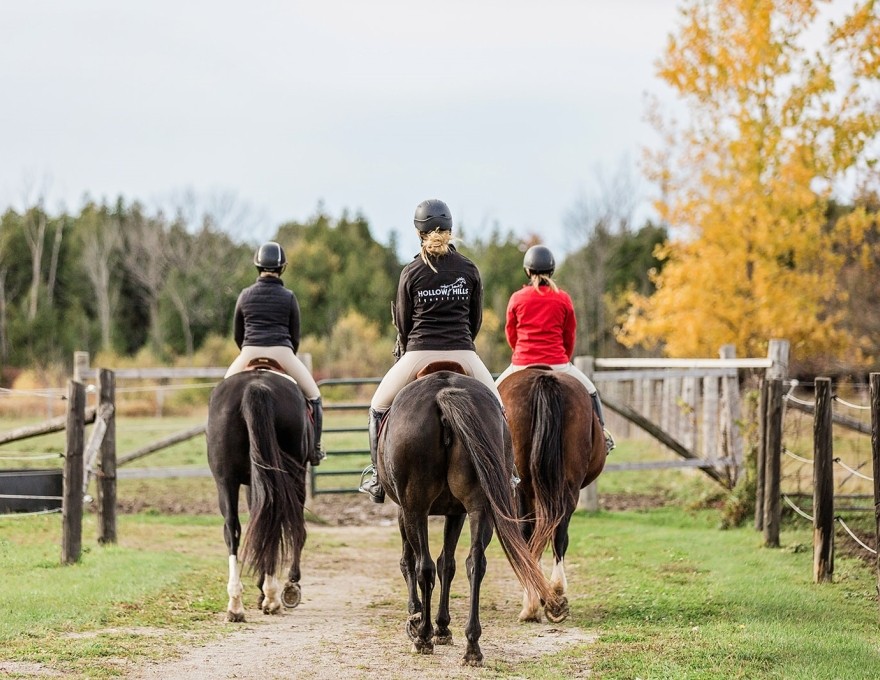 Hollow Hills Equestrian Centre