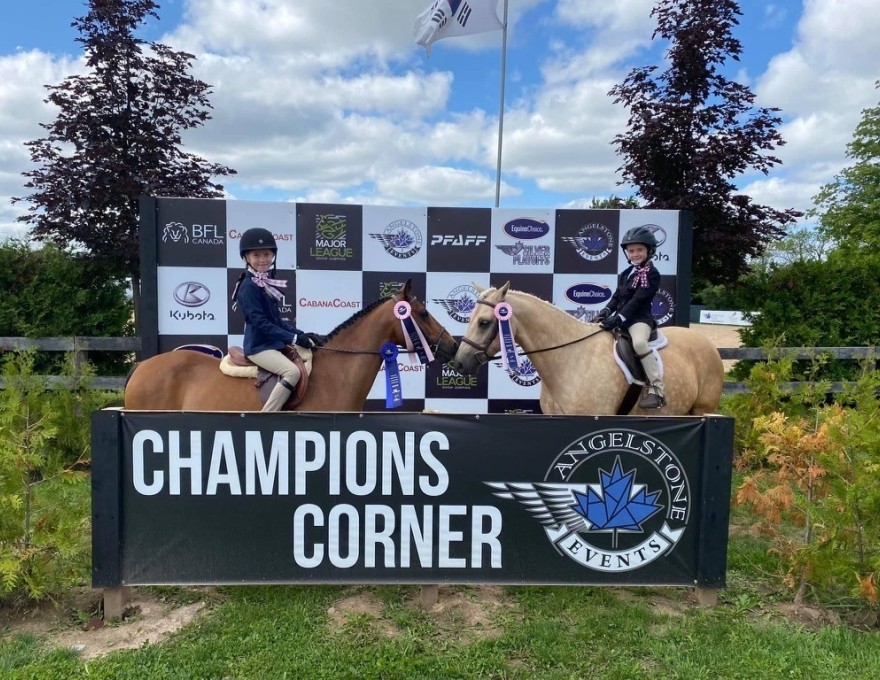 Hollow Hills Equestrian Centre