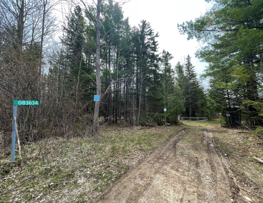 Massie Forest - Parking Lot