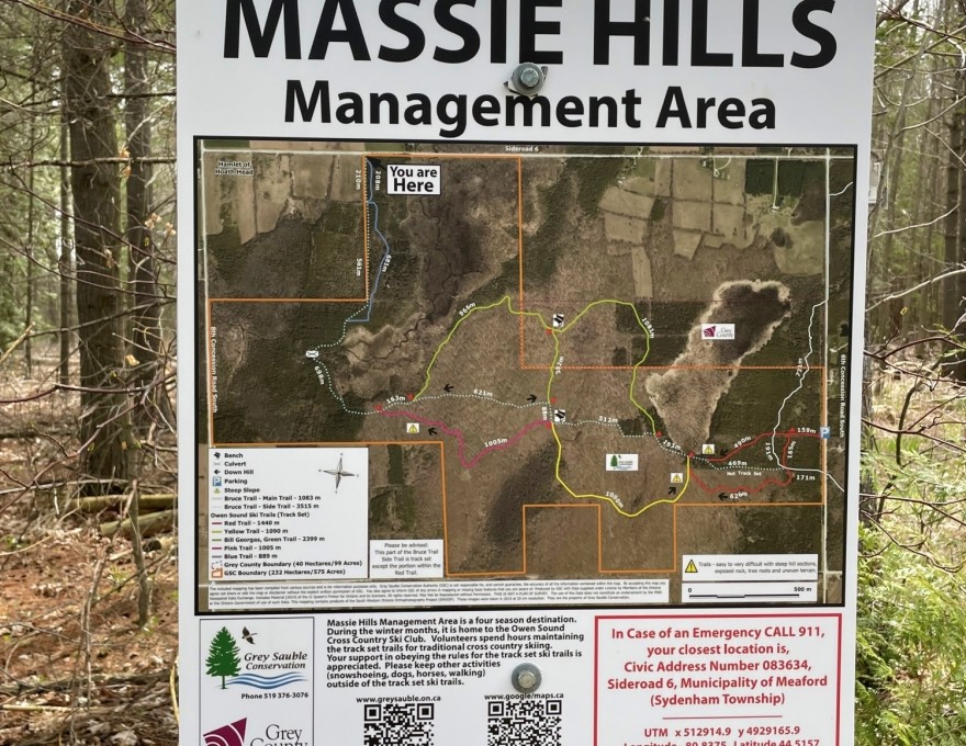 Massie Forest - Sign