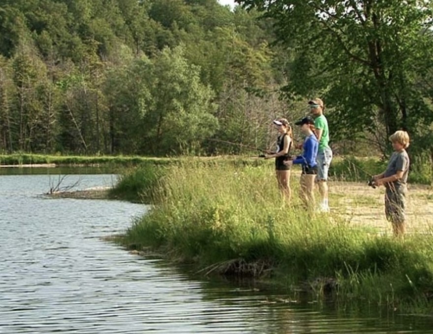 grey county forest 23