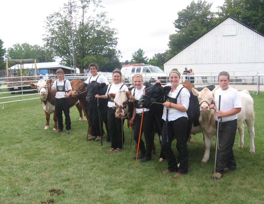 Keady Livestock Market