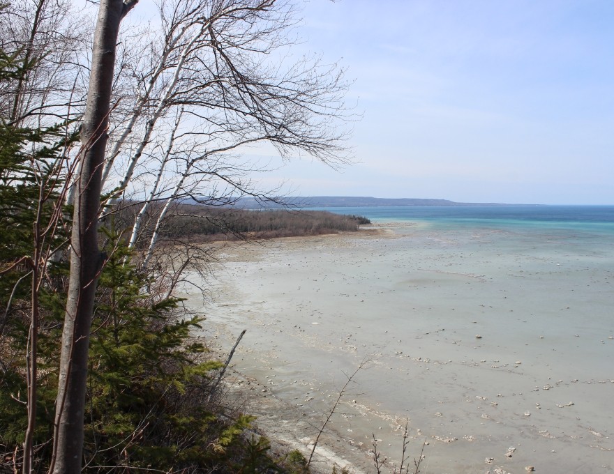 Grey County Forest 40 - St. Vincent Tract