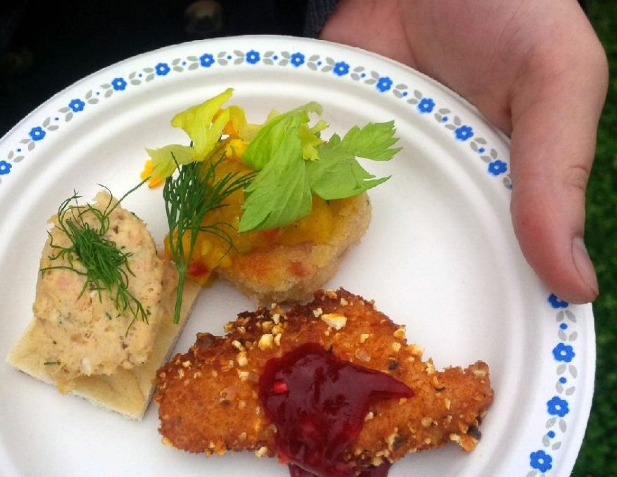 Owen Sound Salmon Tour