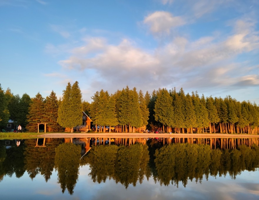 view of lake and trees