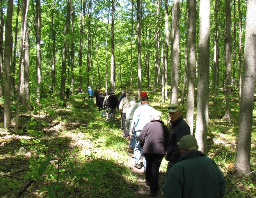 West Rocks Conservation Area