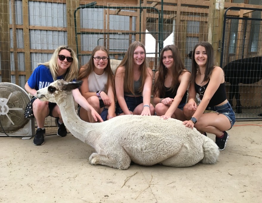 Alpacas are habit forming, some guests come back year after year.