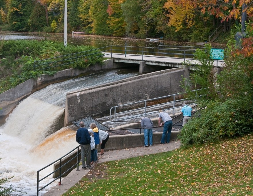 Owen Sound Mill Dam