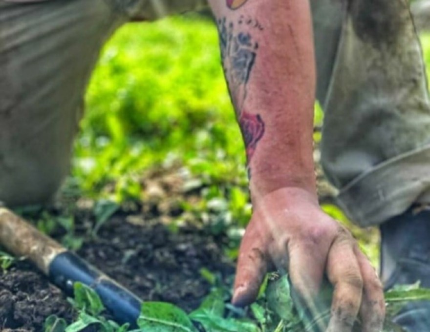 Naagan, A Foraged Feast