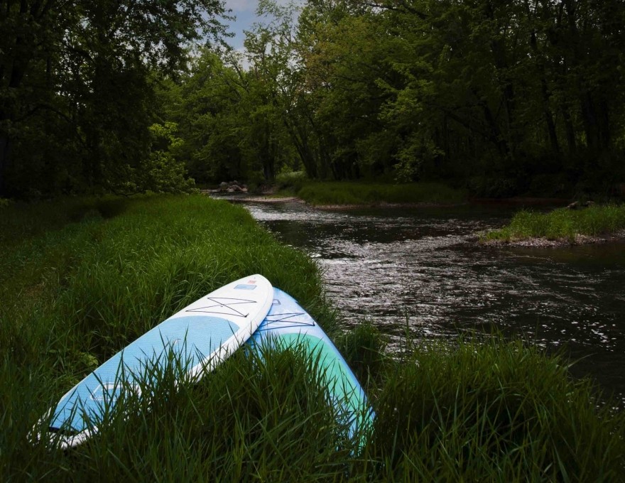 Paddle Boards on land beside river