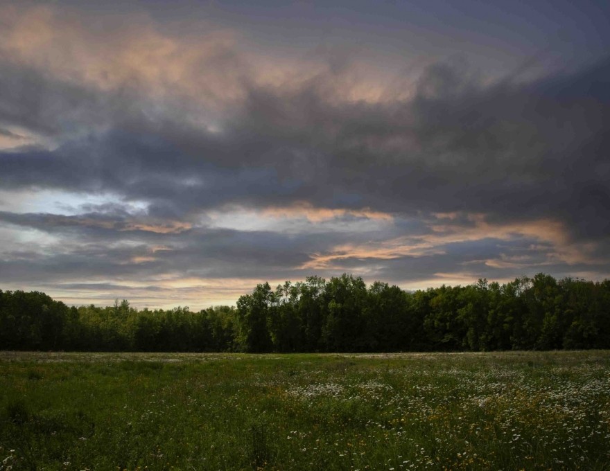 Field with cloudy sky
