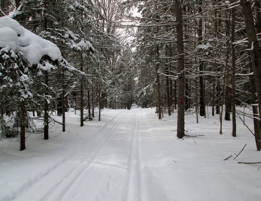 Owen Sound Cross Country Ski Club