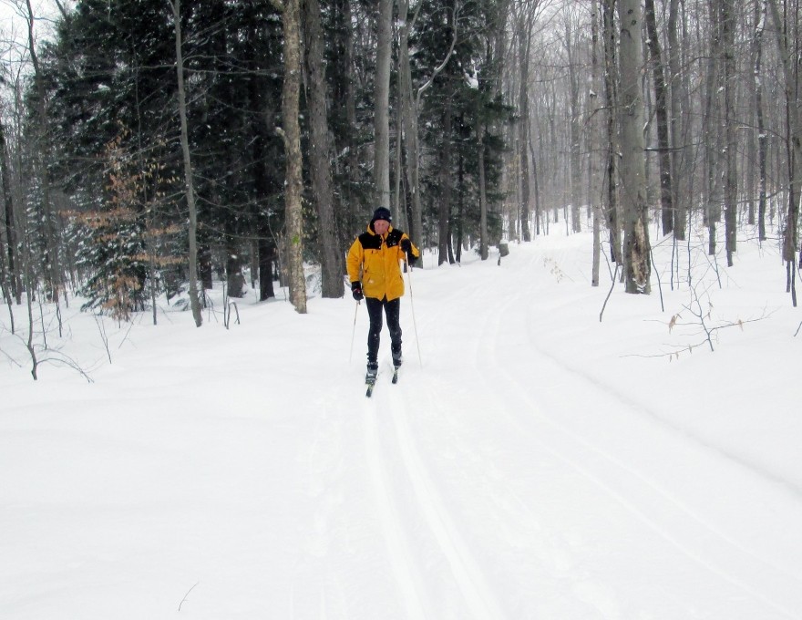 Owen Sound Cross Country Ski Club