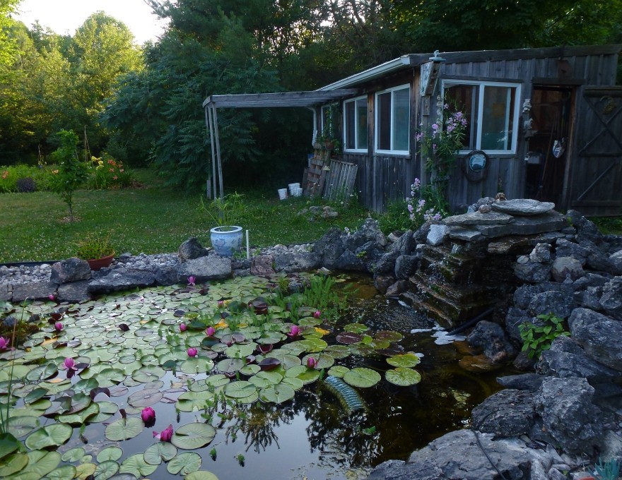 Blossom Hills - hand dug pond