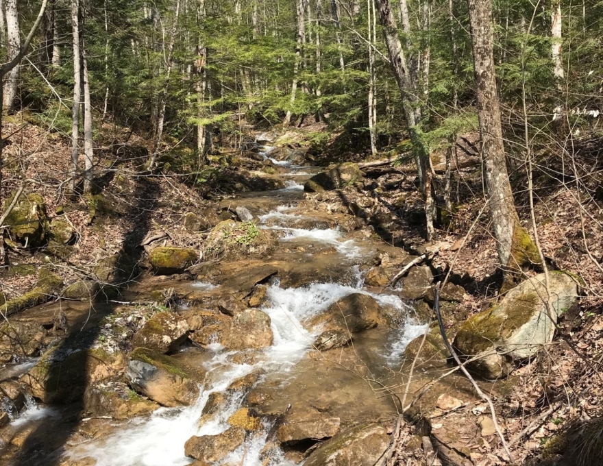 Pretty River - Creek