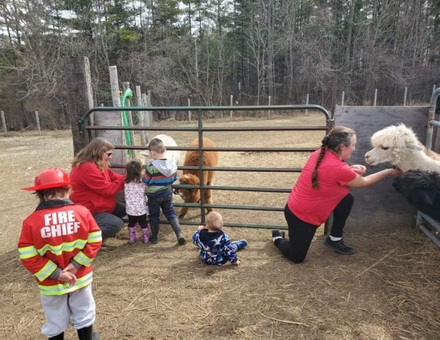Dragonfly Alpaca Ranch
