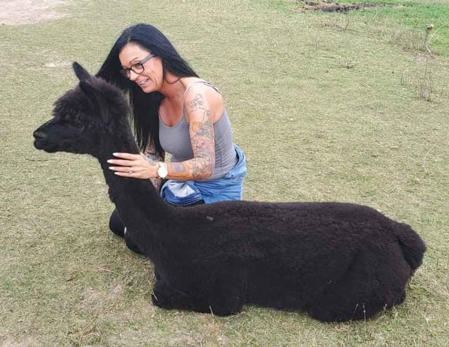 Dragonfly Alpaca Ranch