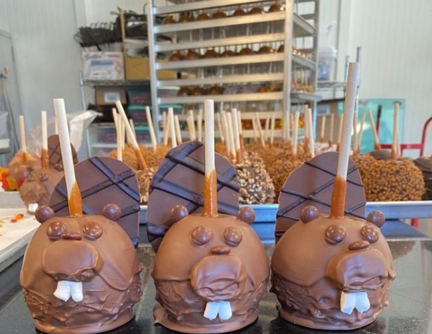 Rocky Mountain Chocolate Factory