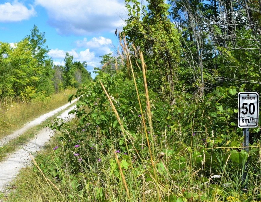 Grey County CP Rail Trail