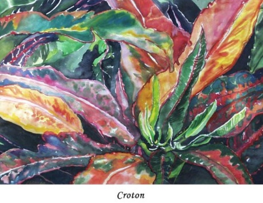 Sandra Walton-Ball Art Studio