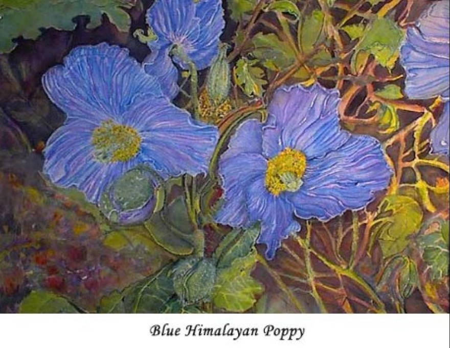 Sandra Walton-Ball Art Studio