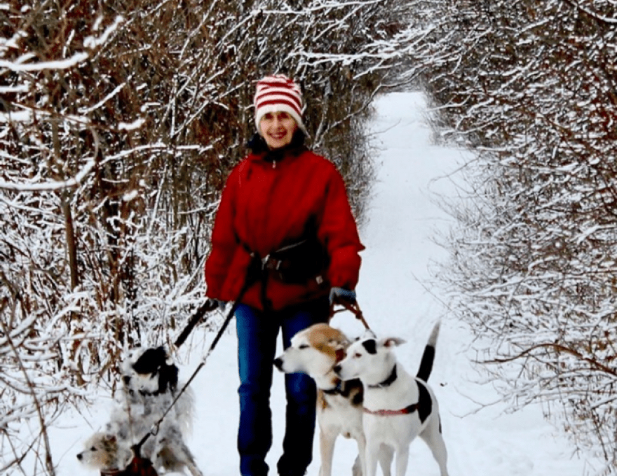 Gordon's Pet Service